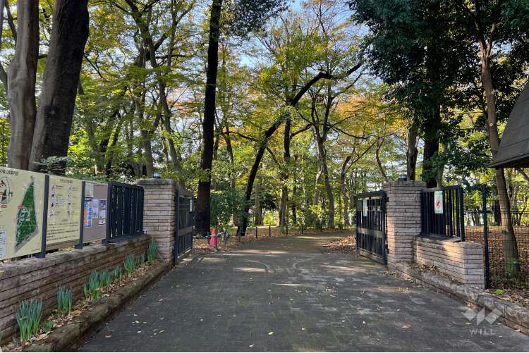 三井の森公園の写真