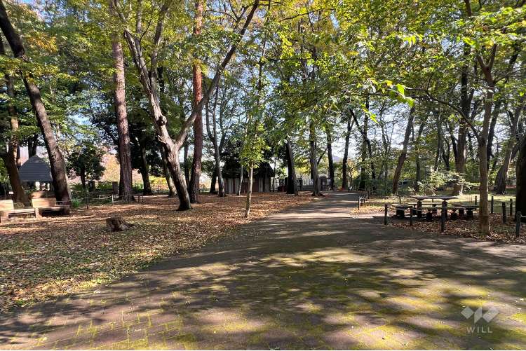 三井の森公園の写真