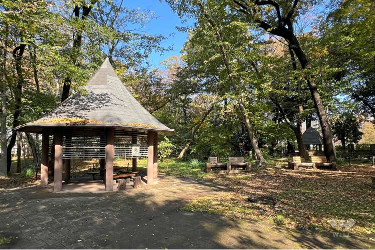 三井の森公園の写真