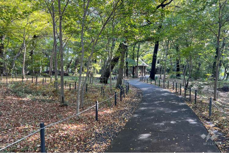 三井の森公園の写真