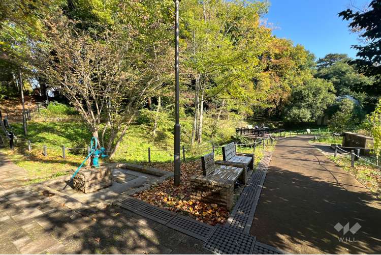 三井の森公園の写真