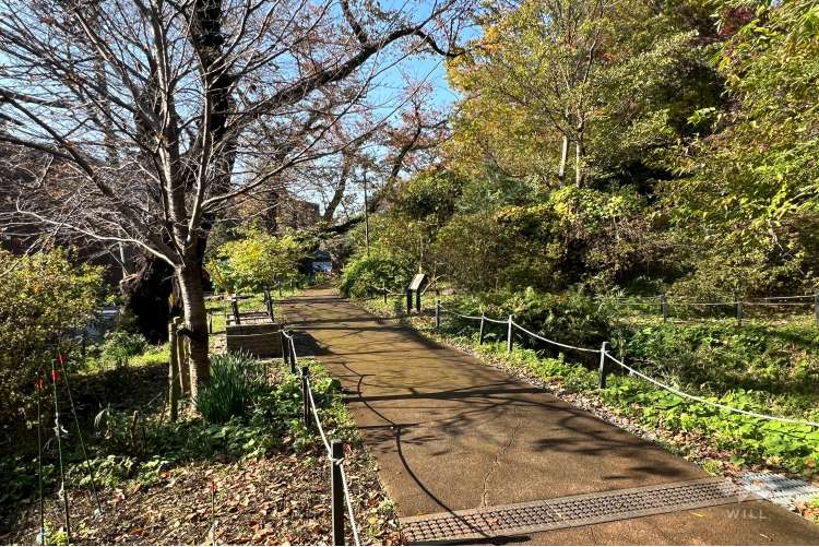 三井の森公園の写真