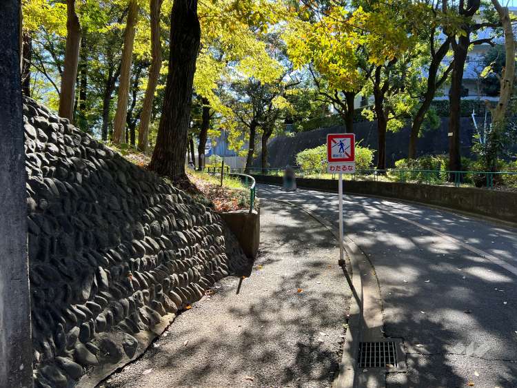 杉並児童交通公園の写真
