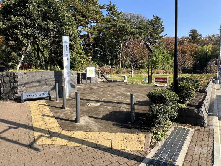 柏の宮公園の写真