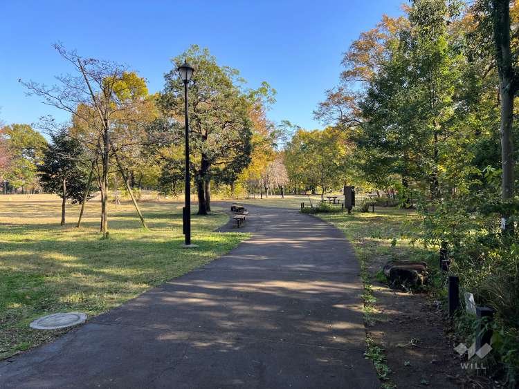 柏の宮公園の写真