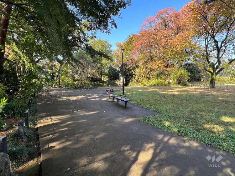 柏の宮公園の写真