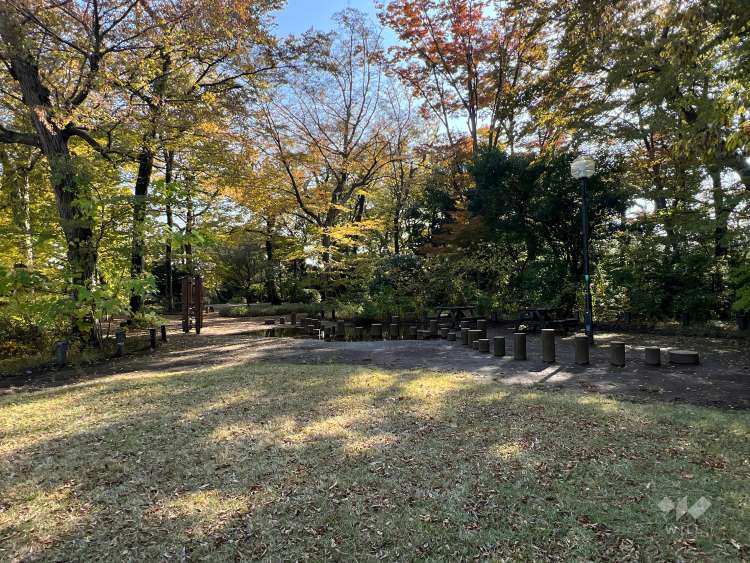 柏の宮公園の写真