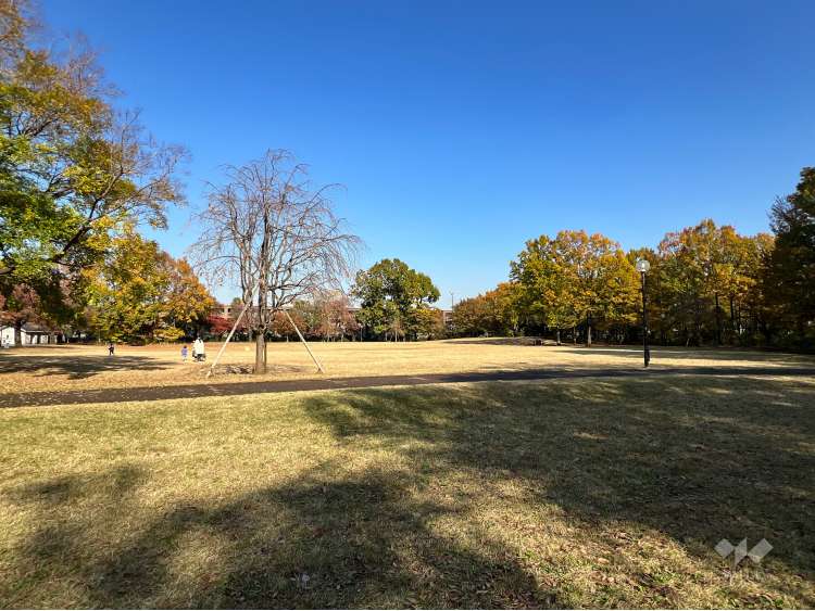 柏の宮公園の写真