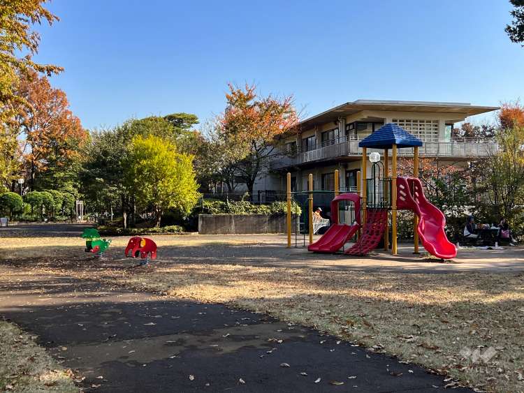 柏の宮公園の写真