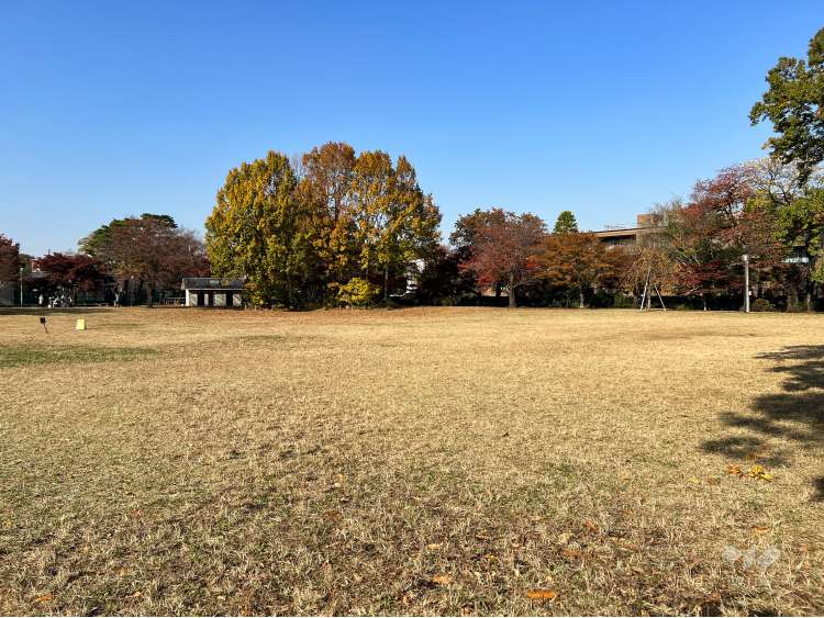 柏の宮公園の写真