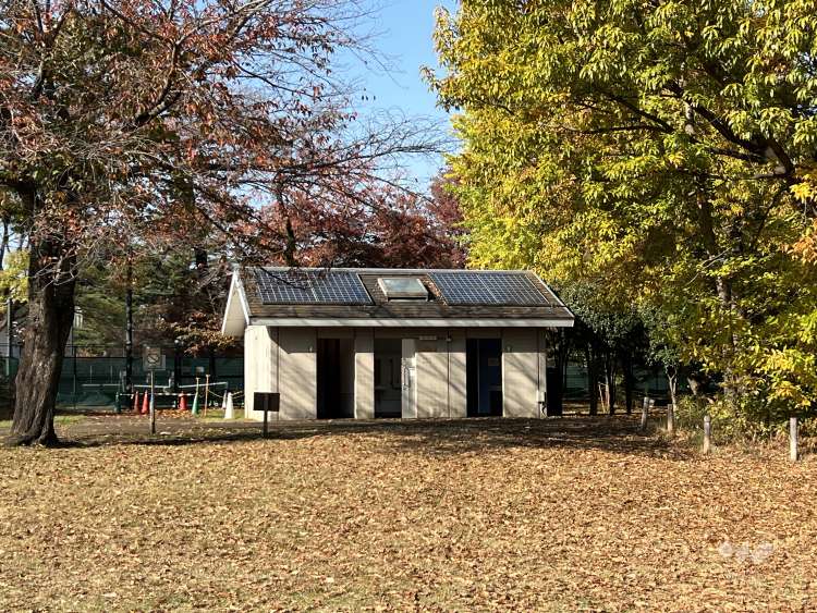 柏の宮公園の写真