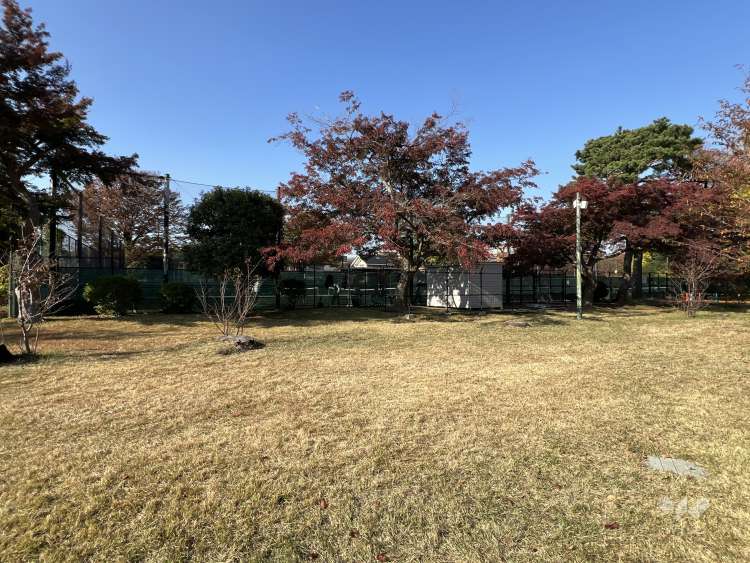 柏の宮公園の写真