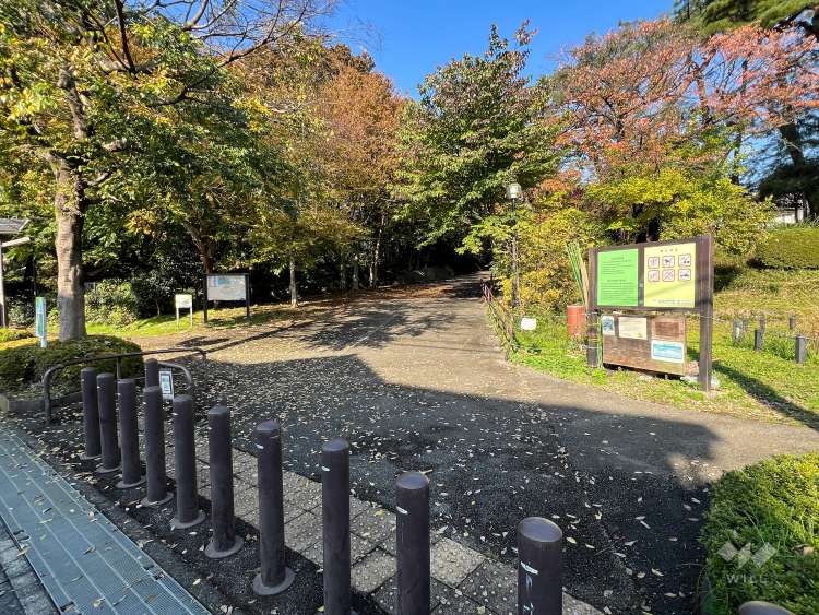 柏の宮公園の写真