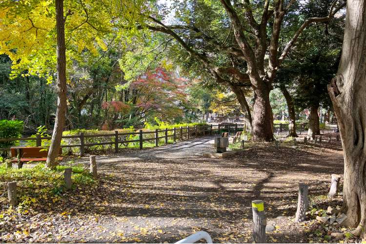 和田堀公園の写真