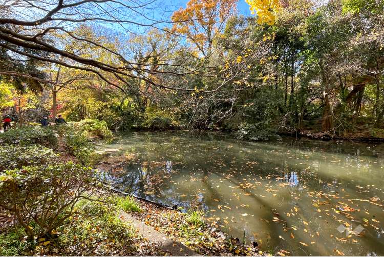 和田堀公園の写真