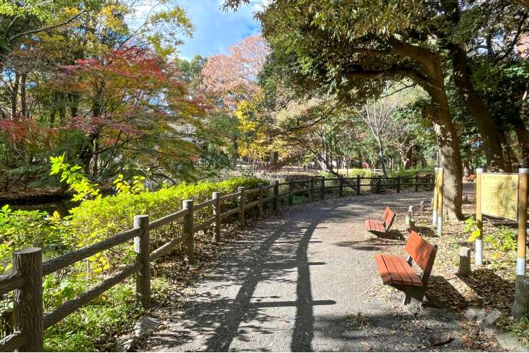 和田堀公園の写真