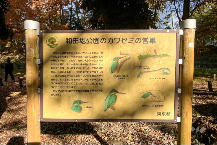 和田堀公園の写真