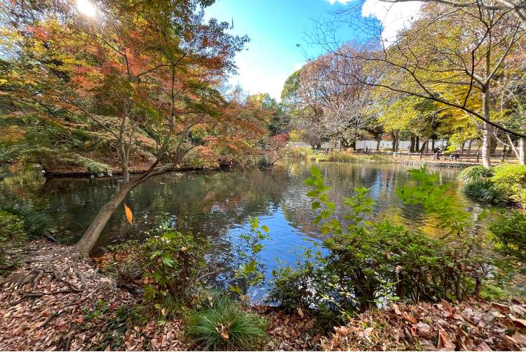 和田堀公園の写真