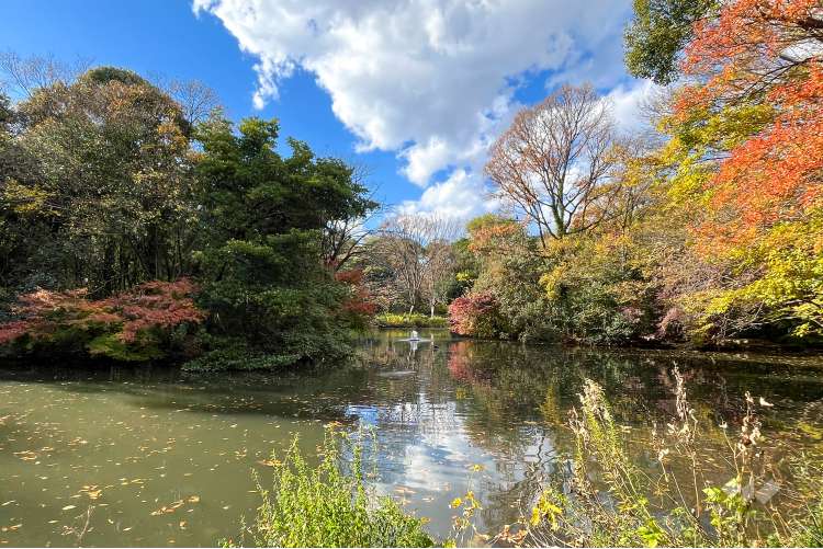和田堀公園の写真