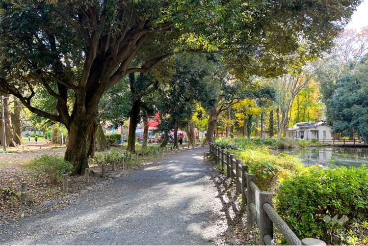 和田堀公園の写真