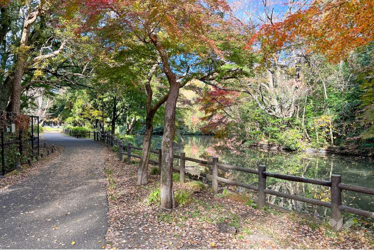 和田堀公園の写真