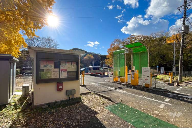 和田堀公園の写真