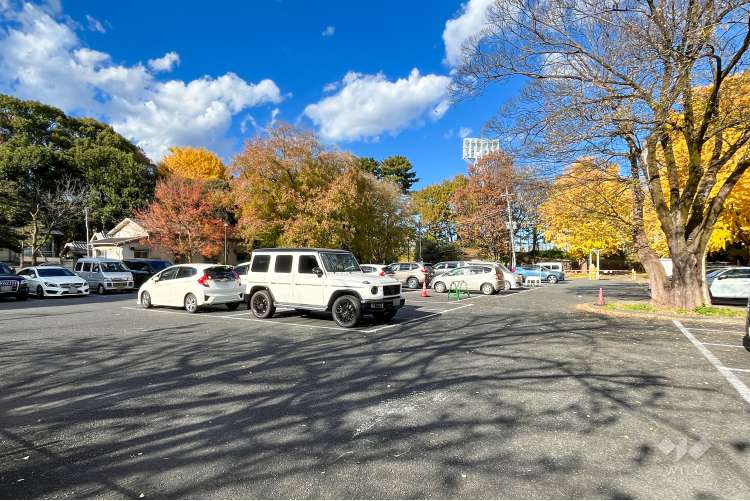 和田堀公園の写真