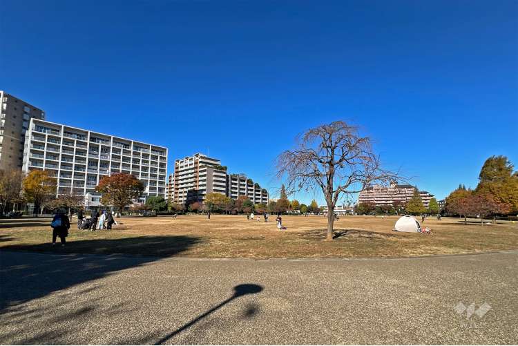 桃井原っぱ公園の写真