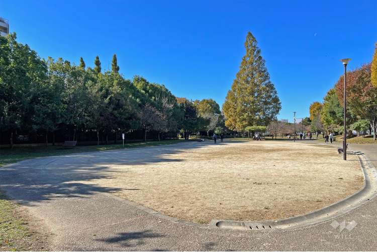 桃井原っぱ公園の写真