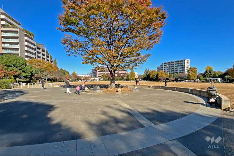桃井原っぱ公園の写真