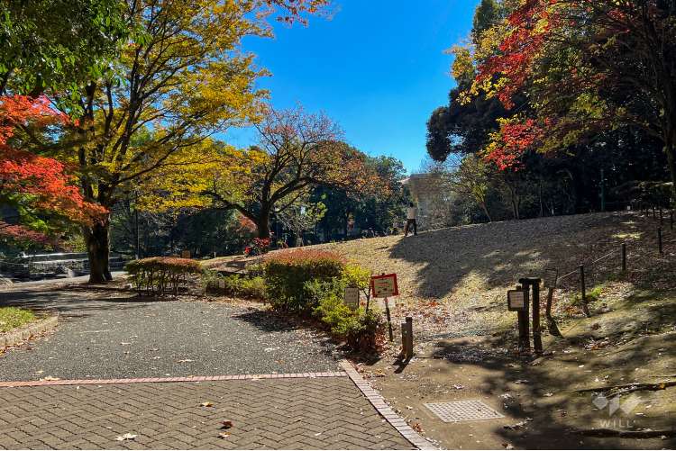 蚕糸の森公園の写真