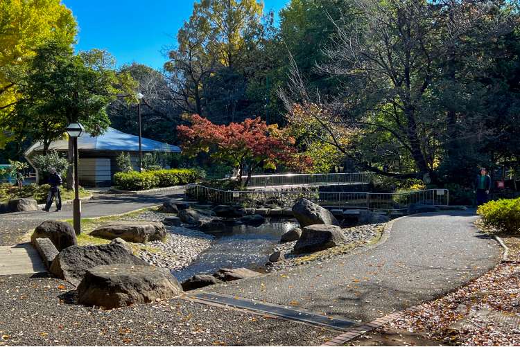 蚕糸の森公園の写真