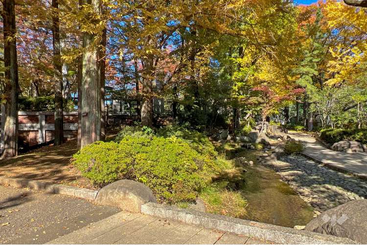 蚕糸の森公園の写真