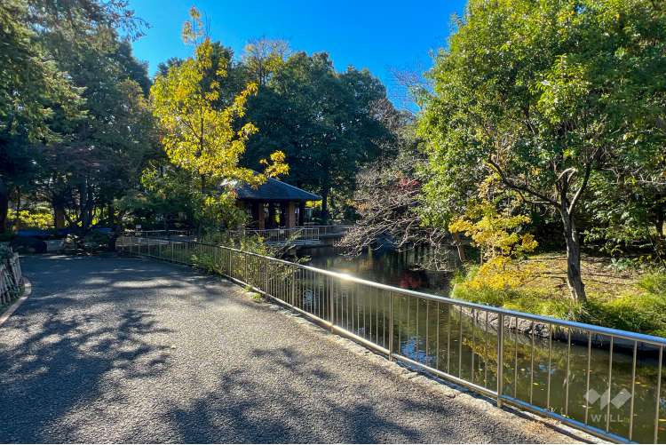 蚕糸の森公園の写真