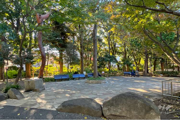 蚕糸の森公園の写真