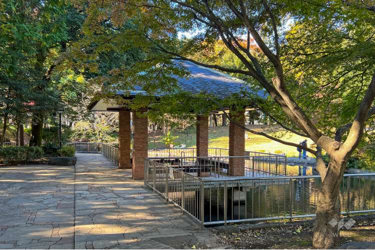 蚕糸の森公園の写真