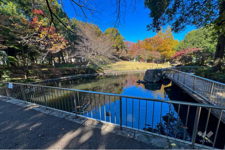 蚕糸の森公園の写真