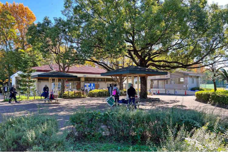 善福寺川緑地の写真