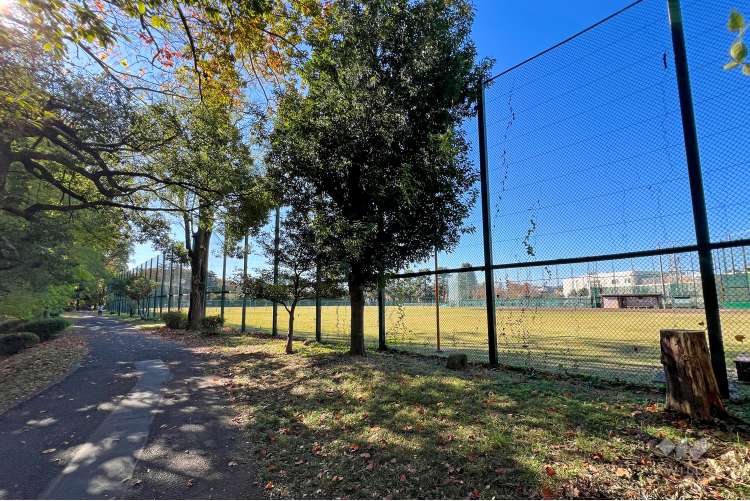 善福寺川緑地の写真