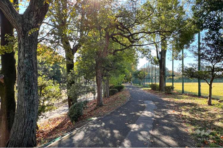 善福寺川緑地の写真