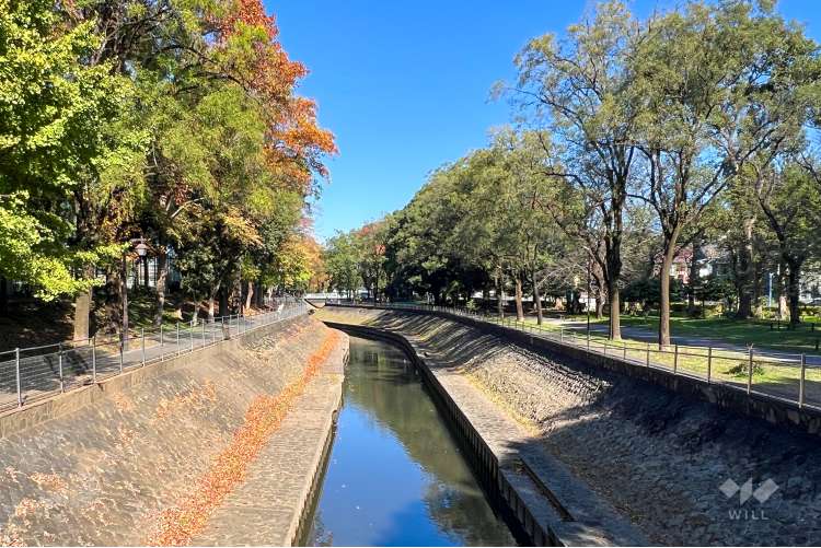 善福寺川緑地の写真