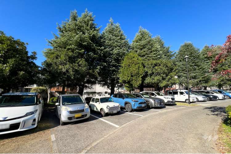 善福寺川緑地の写真