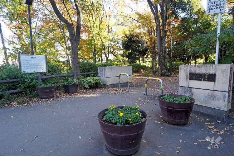 善福寺公園の写真