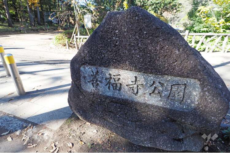 善福寺公園の写真