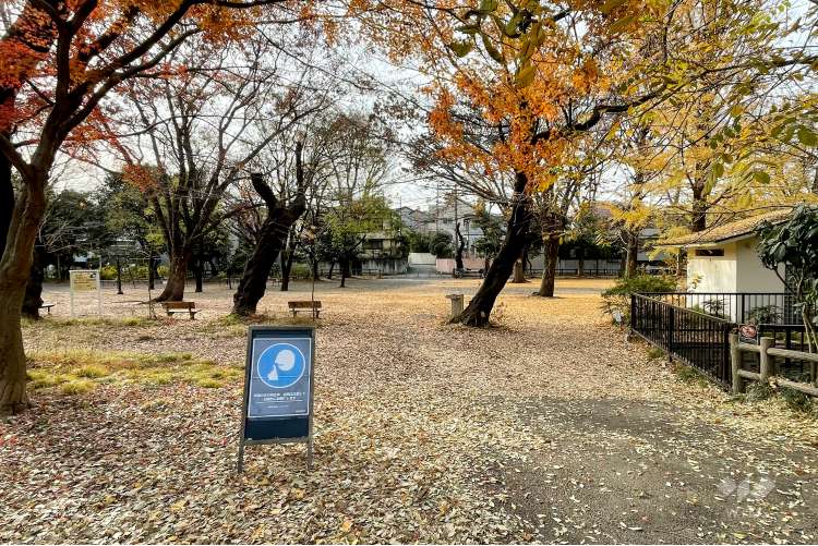 善福寺公園の写真