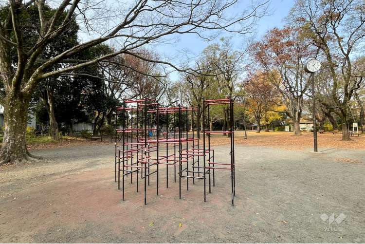 善福寺公園の写真