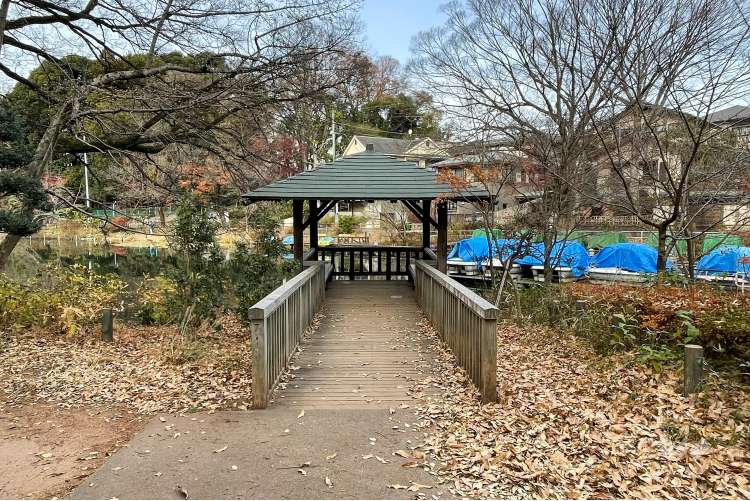 善福寺公園の写真