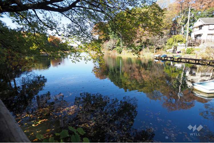 善福寺公園の写真