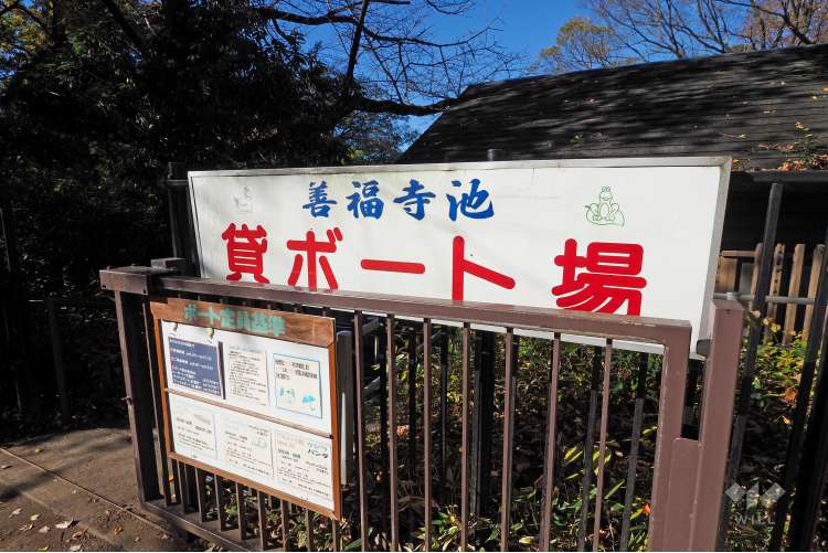 善福寺公園の写真