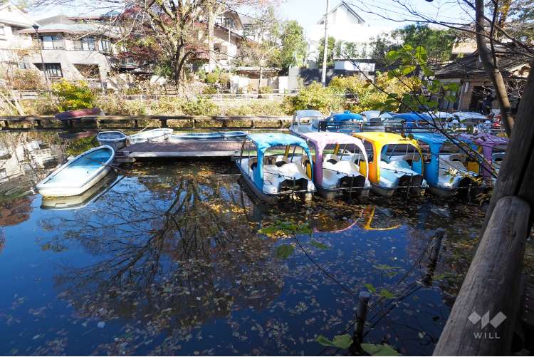 善福寺公園の写真